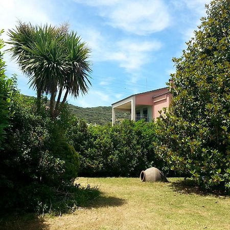 Villa Magnolia Ioánina Exterior foto